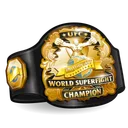 UFC Strike UFC World