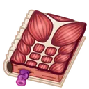 Timeless Book Anatomy