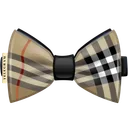 Bow Tie Cambridge