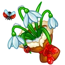 Pretty Posy Edelweiss