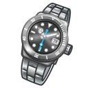 Swiss Watch Platinum