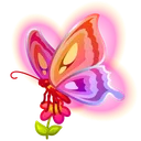 Rare Bird Aurora Moth