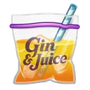 Swag Bag Gin and Juice