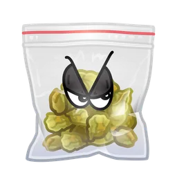 Swag Bag