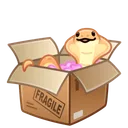 Snake Box Fragile