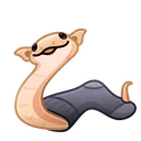 Pet Snake Dobby